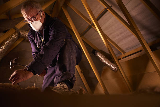 Best Commercial Insulation in Battlefield, MO